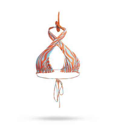 Olympia_ElectricZebra2