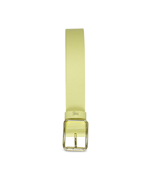 Patrizia-Pepe-CW6409-L001-Belt-Sunny-Lime