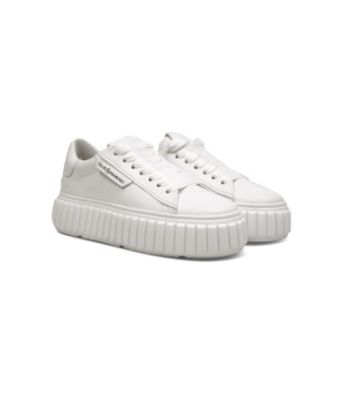 Kennel Schmenger Zap White 2
