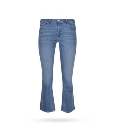Adriano Goldschmied W0019 Denim