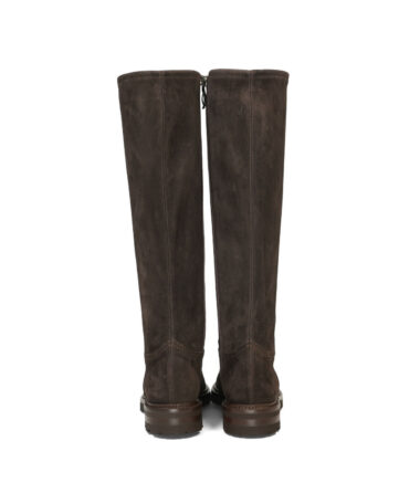 Lorenzo Masiero Camoscio Testa di Moro 3.jpg