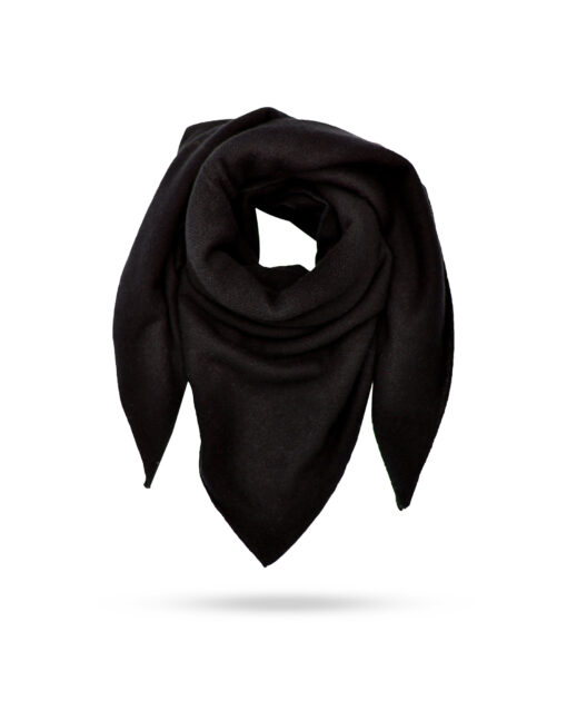 Mary und Yve 50532 Schwarz.JPG