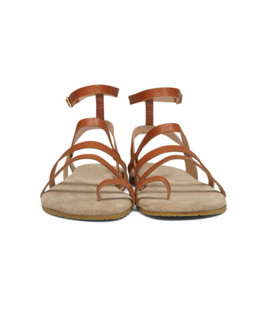 Maluo-Loa-Koala-Gold-3