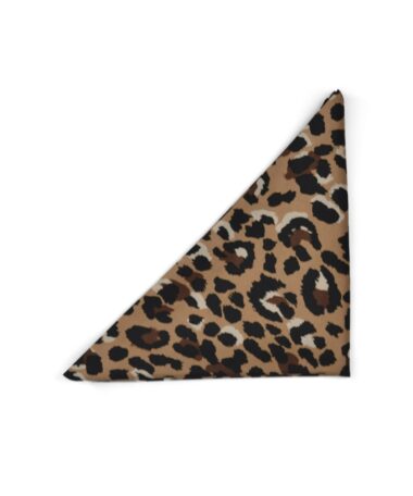 910257 Tuch leo