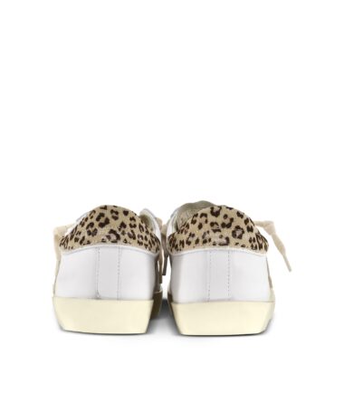 Kennel Schmenger PRLX Leo_3