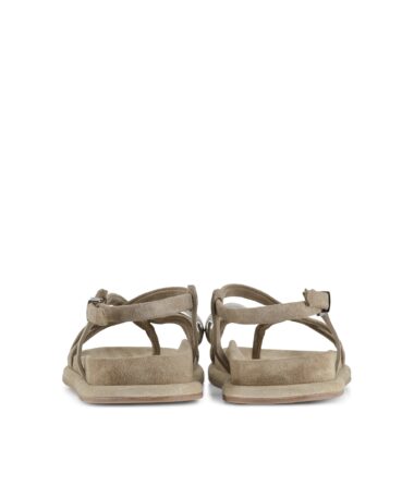 KennelSchmenger Aily_3