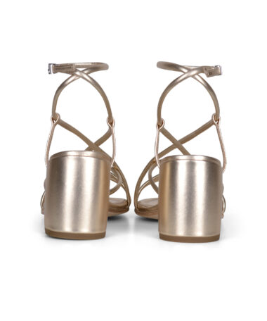 KennelundSchmenger Viola Gold_3.jpg