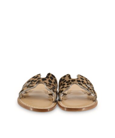 Amalfi Cavallino Leo_1