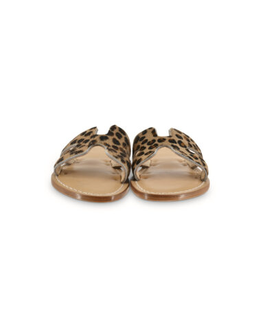 Amalfi Cavallino Leo_1neu.jpg