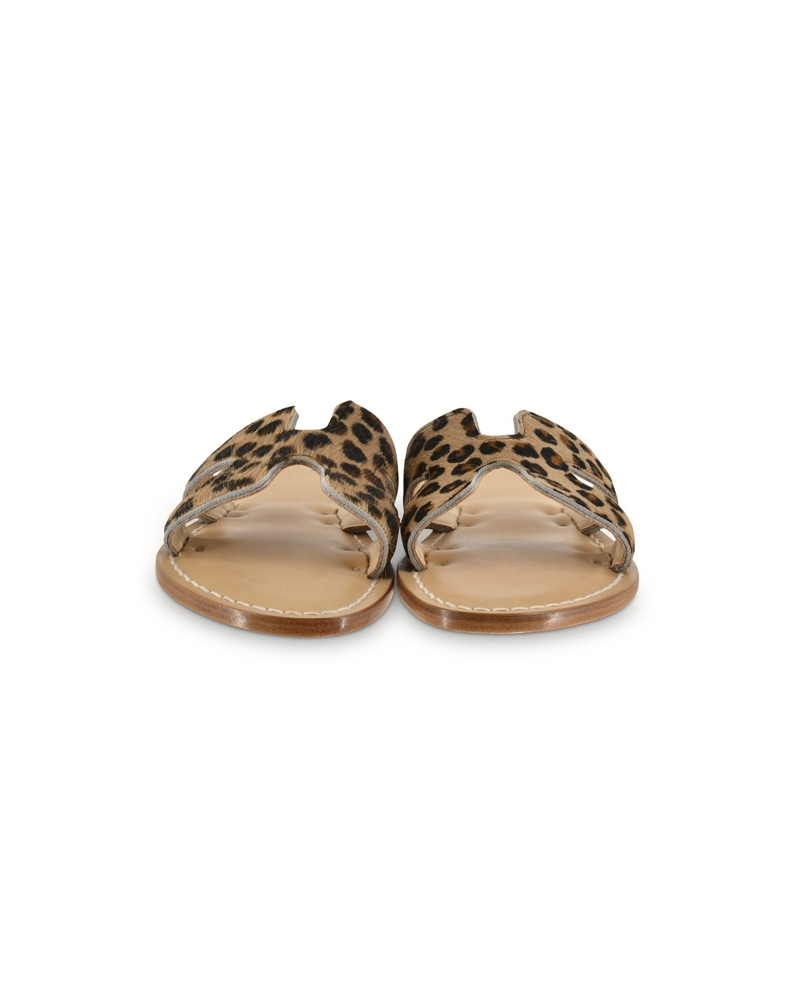 Amalfi Cavallino Leo_1neu.jpg