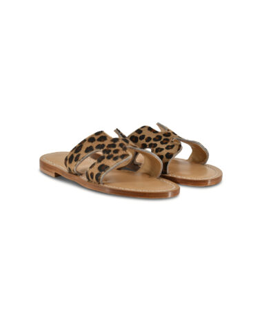 Amalfi Cavallino Leo_2neu.jpg