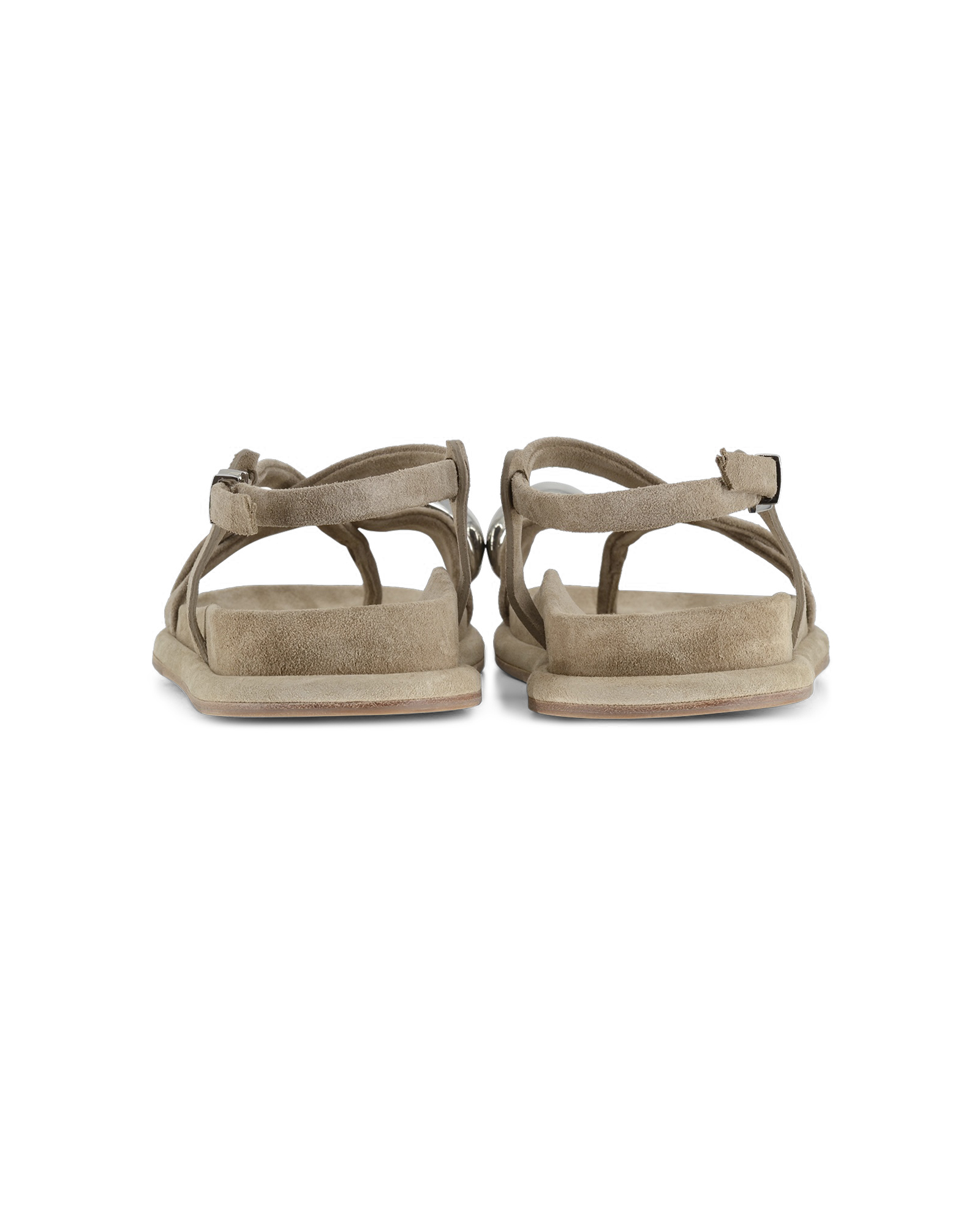 KennelSchmenger Aily_3neu.jpg