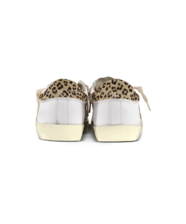 Kennel Schmenger PRLX Leo_3neu.jpg