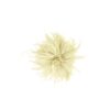 Blume gelb NEU
