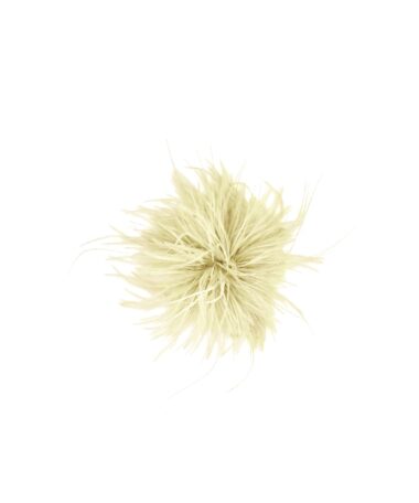 Blume gelb NEU