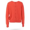 Absolut Lisette orange_1