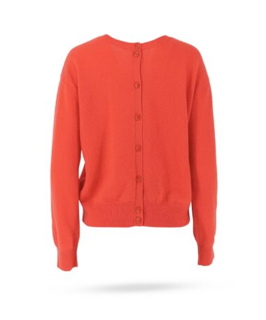 Absolut Lisette orange_1