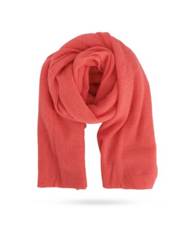 Repeat 700506 summer orange