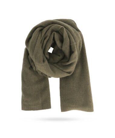Repeat 700506 olive