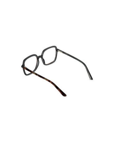 FL28403-Eyeclass-PearlyBrown-Back